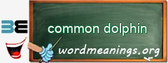 WordMeaning blackboard for common dolphin